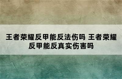 王者荣耀反甲能反法伤吗 王者荣耀反甲能反真实伤害吗